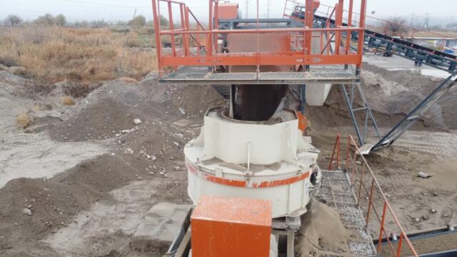 VSI-PLANT (7)